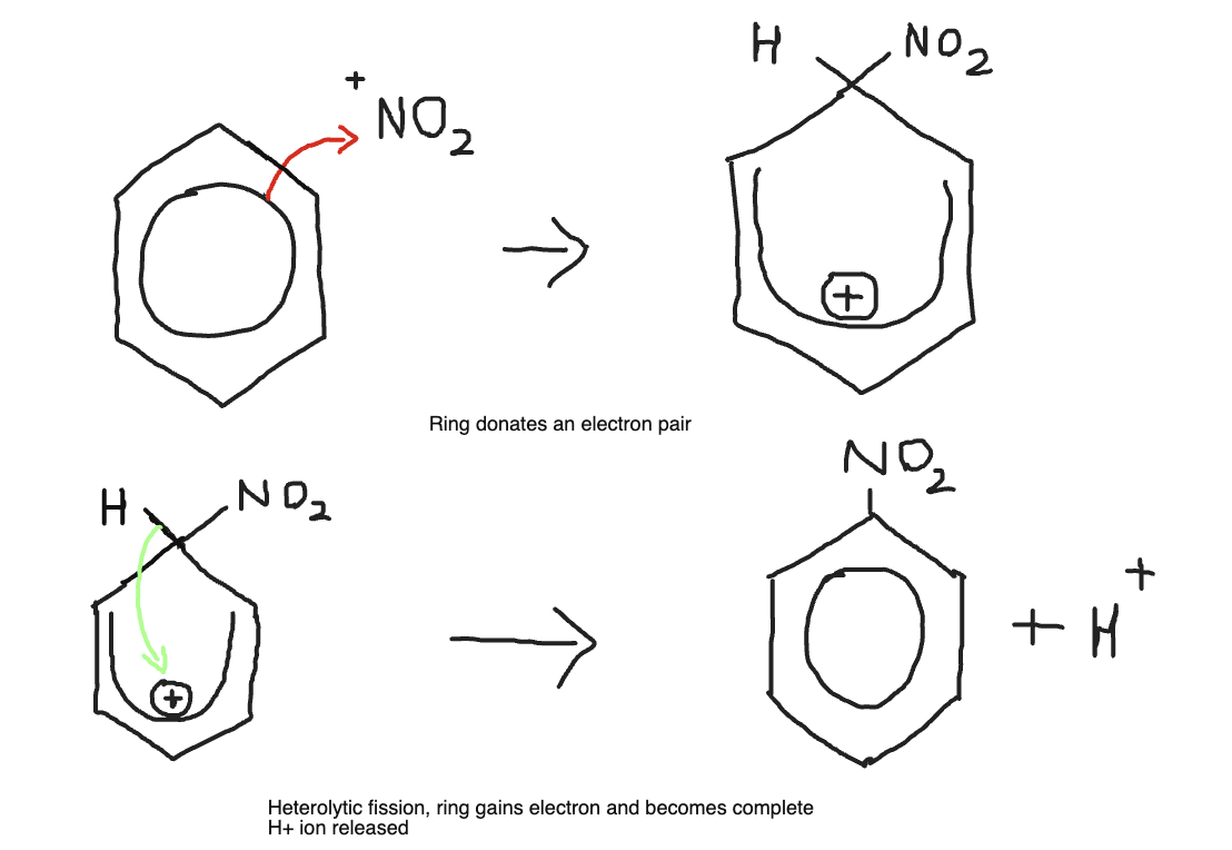 Live tutoring session screenshot